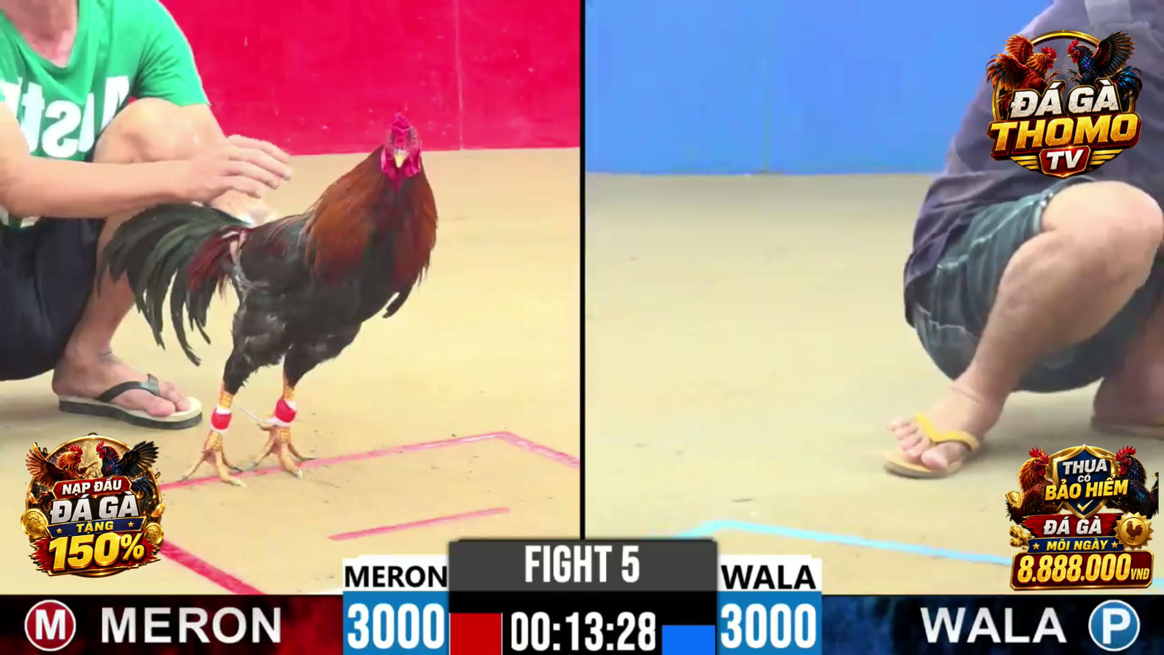 Tất cả video